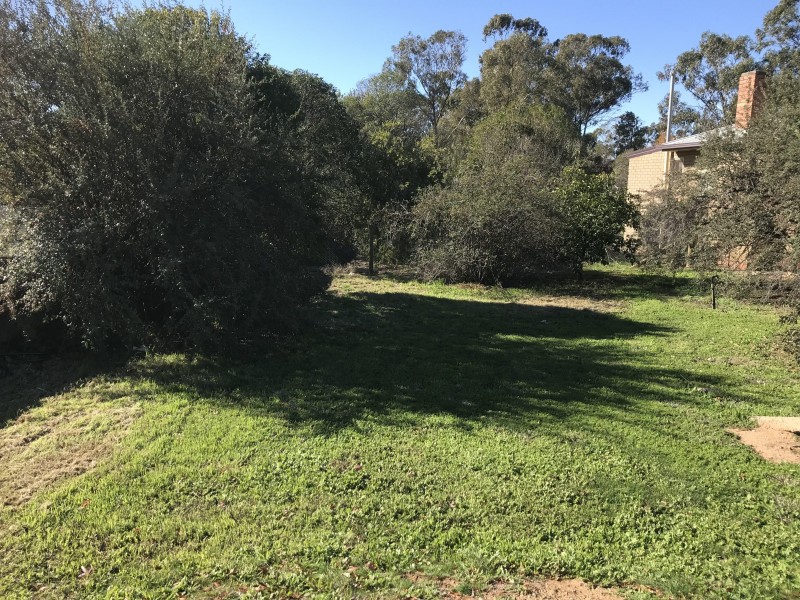 38 Jerilderie Street, Berrigan NSW 2712