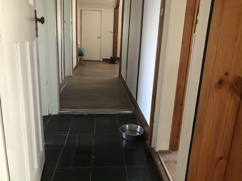 62 Milthorpe Street, Oaklands NSW 2646