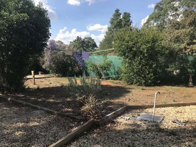 62 Milthorpe Street, Oaklands NSW 2646