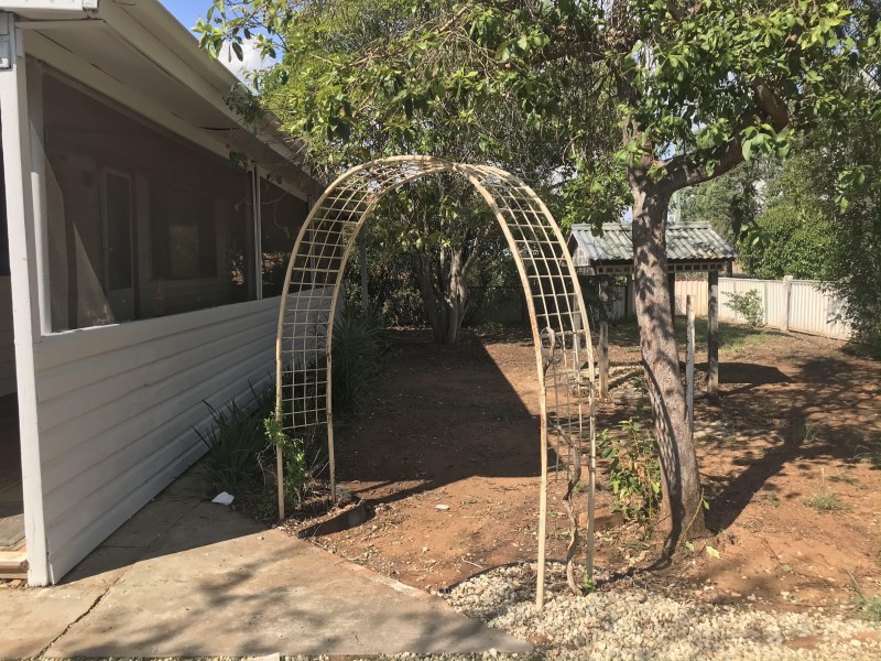 62 Milthorpe Street, Oaklands NSW 2646