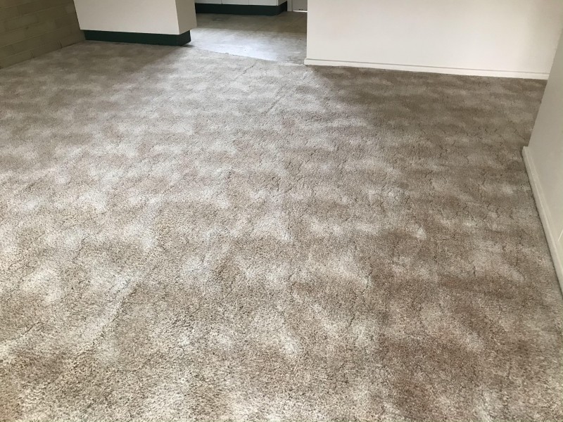 24 Bolton Street, Jerilderie NSW 2716