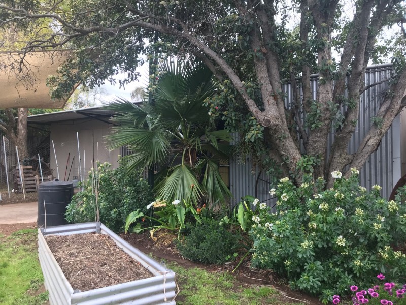 36 Milthorpe Street, Oaklands NSW 2646