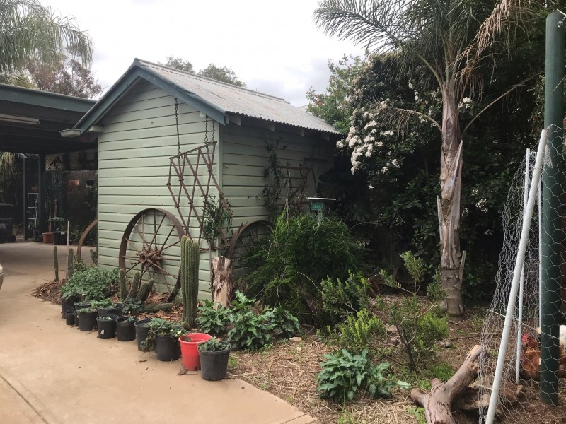 36 Milthorpe Street, Oaklands NSW 2646