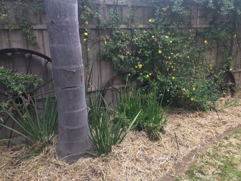 36 Milthorpe Street, Oaklands NSW 2646