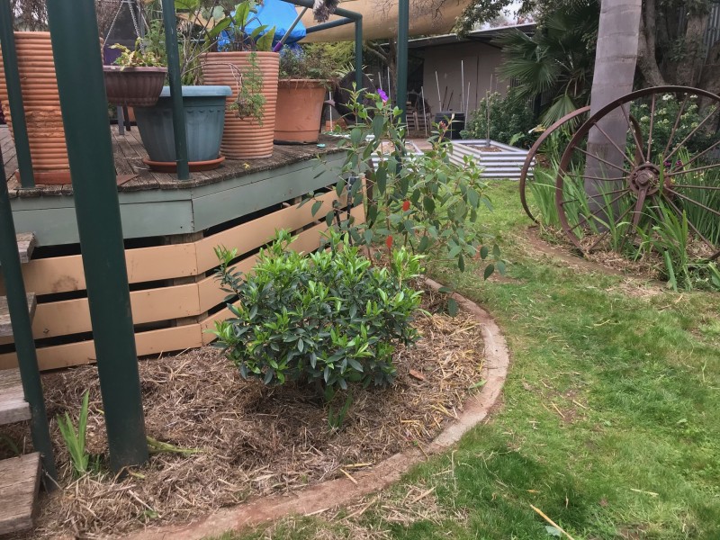 36 Milthorpe Street, Oaklands NSW 2646