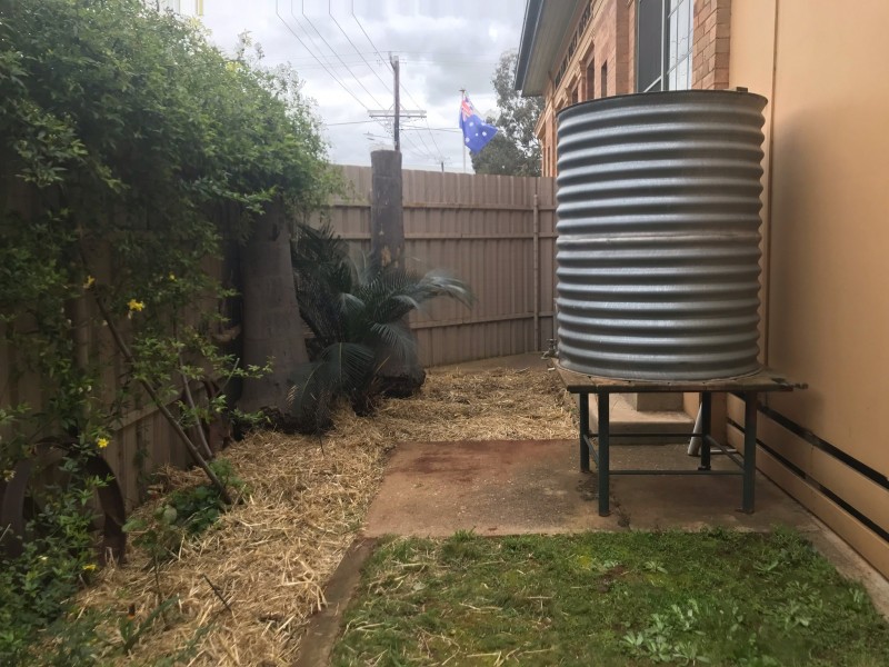 36 Milthorpe Street, Oaklands NSW 2646