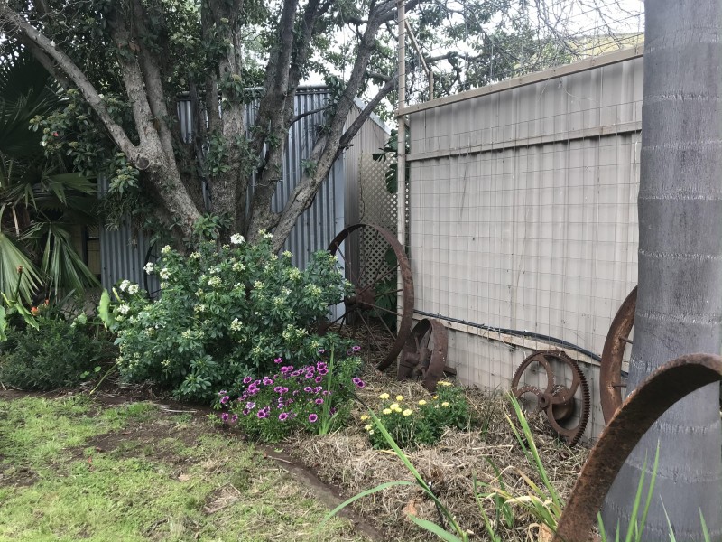 36 Milthorpe Street, Oaklands NSW 2646