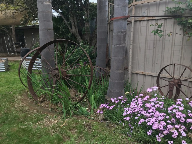 36 Milthorpe Street, Oaklands NSW 2646