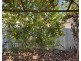 101 COREEN STREET, Jerilderie NSW 2716