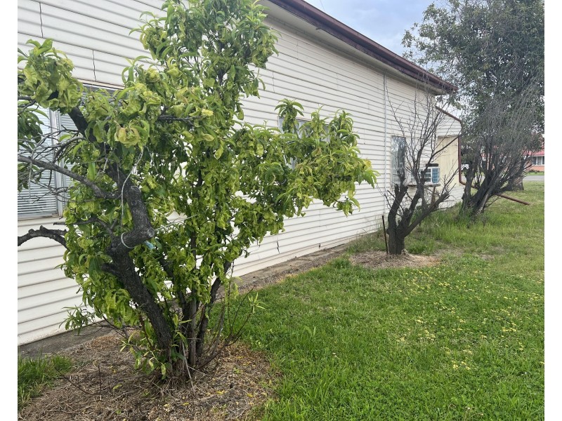 26 Jerilderie Street, Berrigan NSW 2712