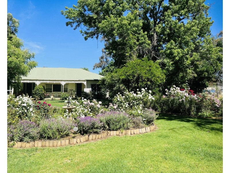 651 Jerilderie Road, Berrigan NSW 2712