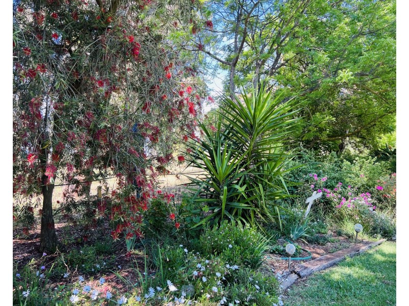 651 Jerilderie Road, Berrigan NSW 2712