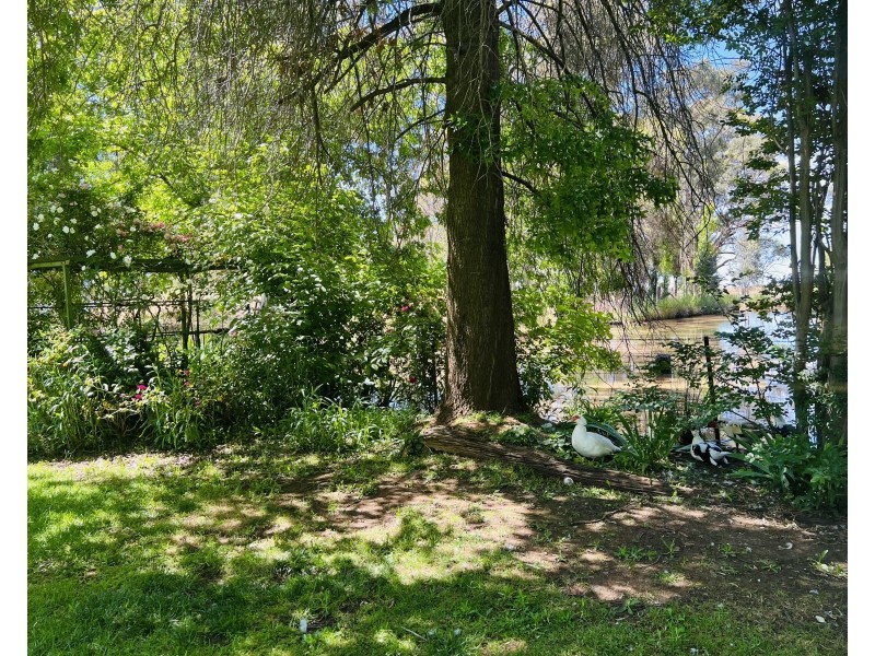 651 Jerilderie Road, Berrigan NSW 2712