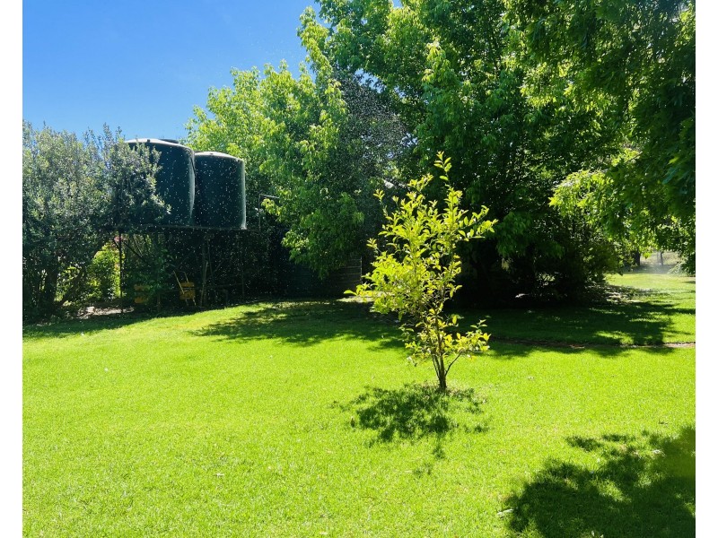 651 Jerilderie Road, Berrigan NSW 2712