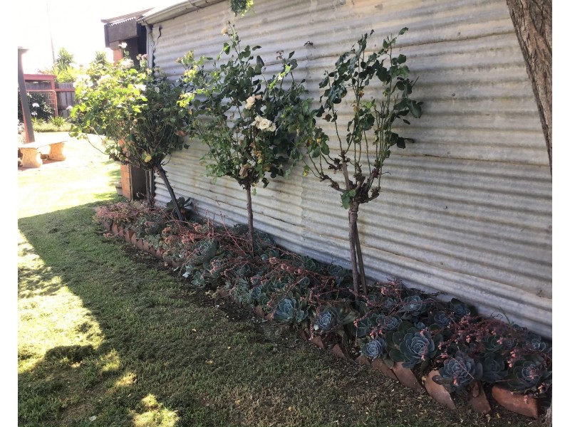 8 Budd Street, Berrigan NSW 2712