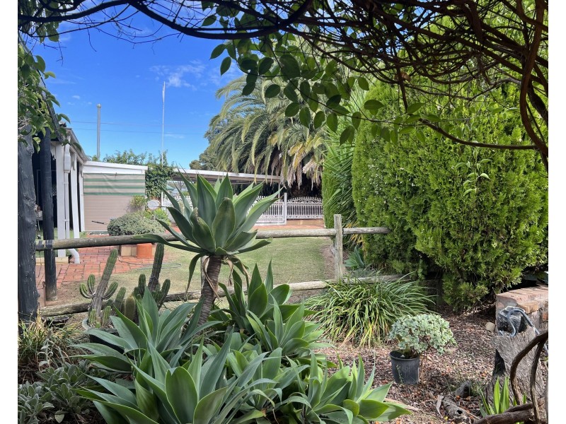 65 Coreen Street, Jerilderie NSW 2716
