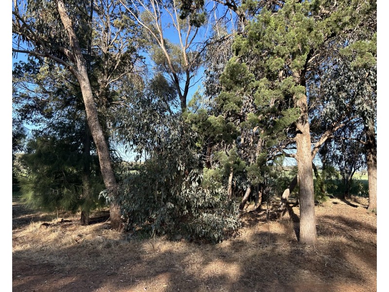 82 RATCLIFFS ROAD, Berrigan NSW 2712