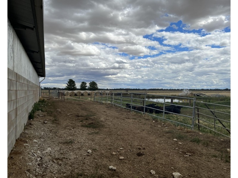 109 Lukies Road, Katamatite VIC 3649