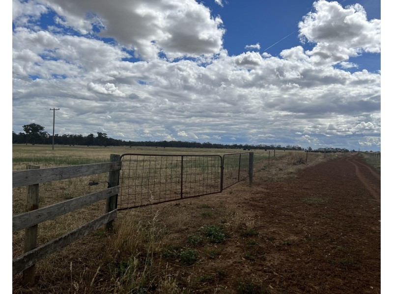 109 Lukies Road, Katamatite VIC 3649