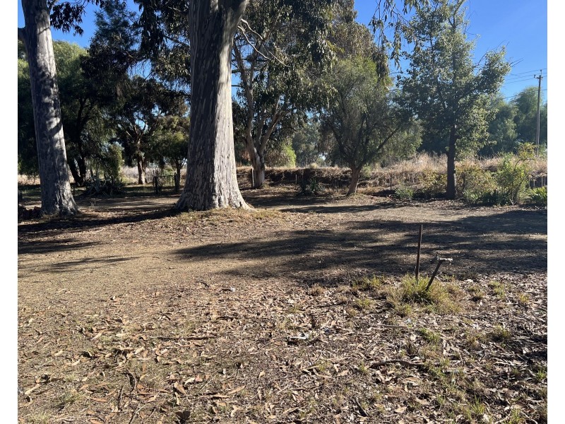 14217 Riverina Highway, Berrigan NSW 2712