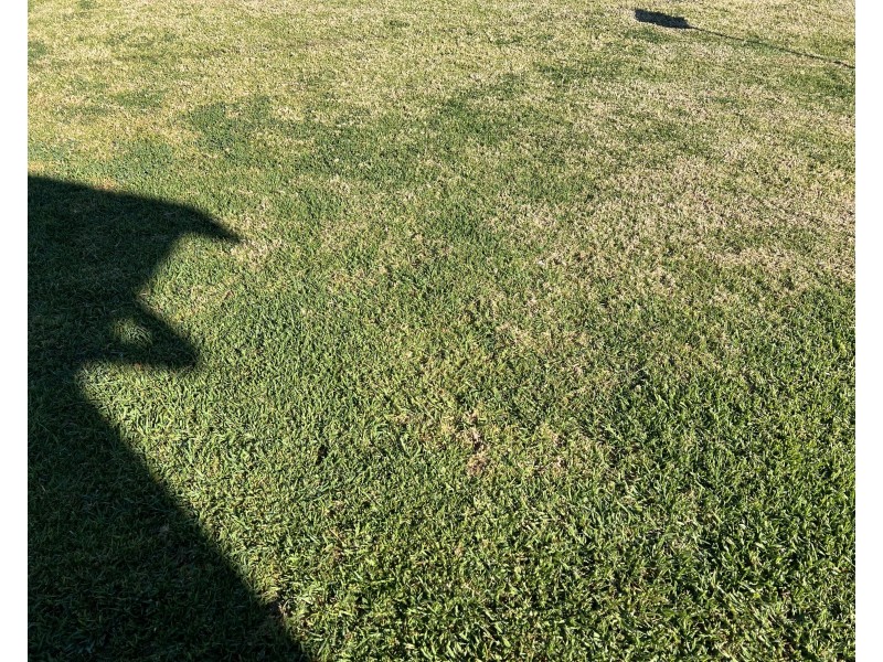 43 William Street, Berrigan NSW 2712