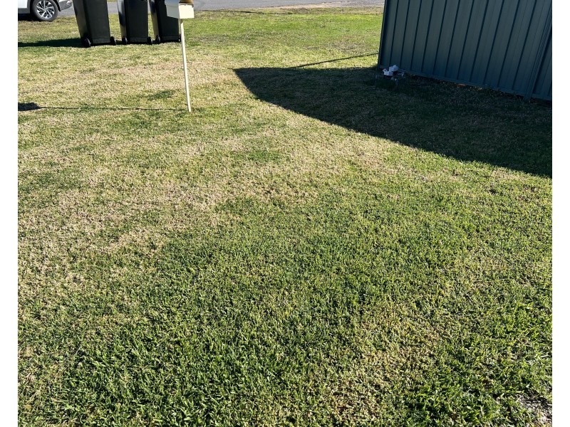 43 William Street, Berrigan NSW 2712