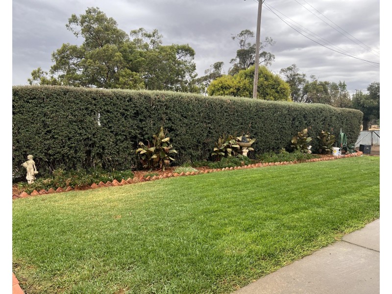 6-8 Hayes Street, Berrigan NSW 2712