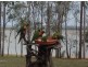 Atkinsons Dam QLD 4311
