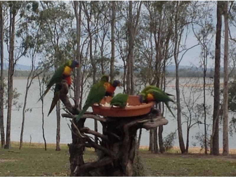 Atkinsons Dam QLD 4311