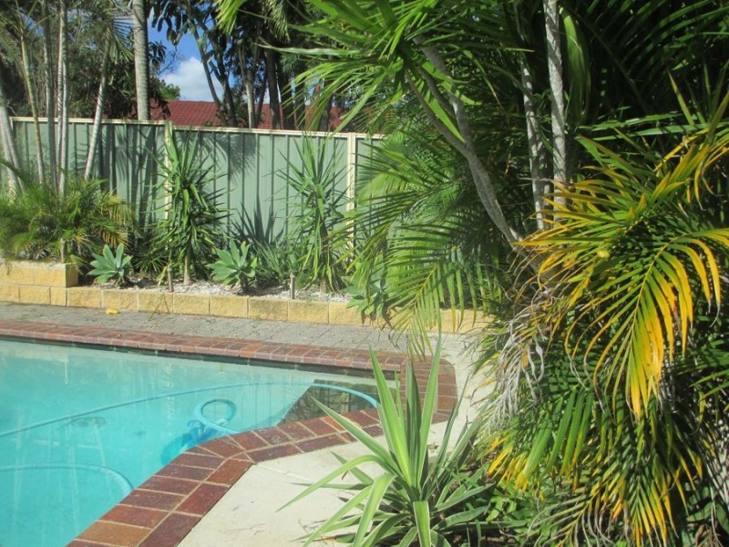 22A Belgrave Street, Underwood QLD 4119