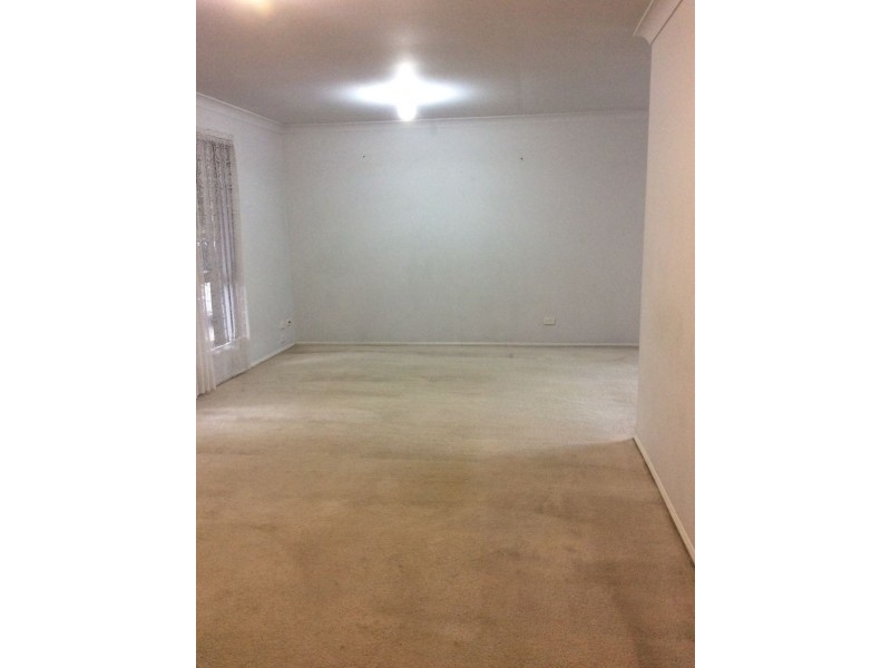 77 Hamish Street, Calamvale QLD 4116