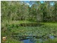 227 Randle Rd, Buccan QLD 4207