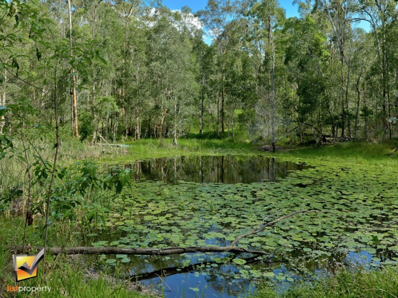 227 Randle Rd, Buccan QLD 4207