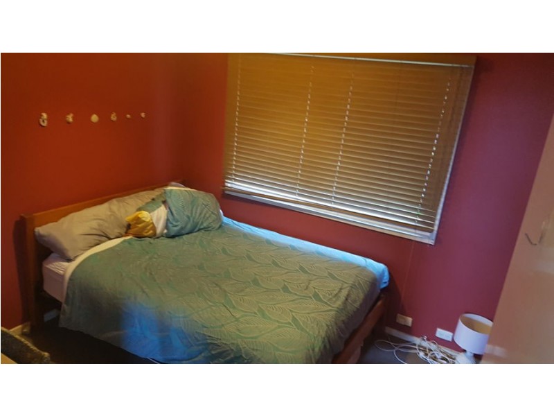 11 DODWELL STREET, Holland Park West QLD 4121