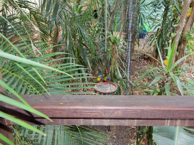 6/29 Pring Street, Tarragindi QLD 4121