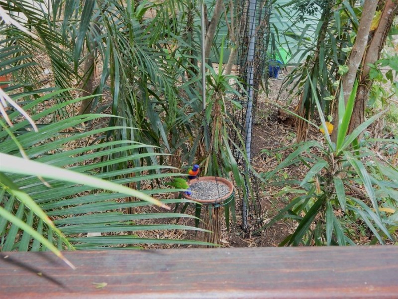 6/29 Pring Street, Tarragindi QLD 4121