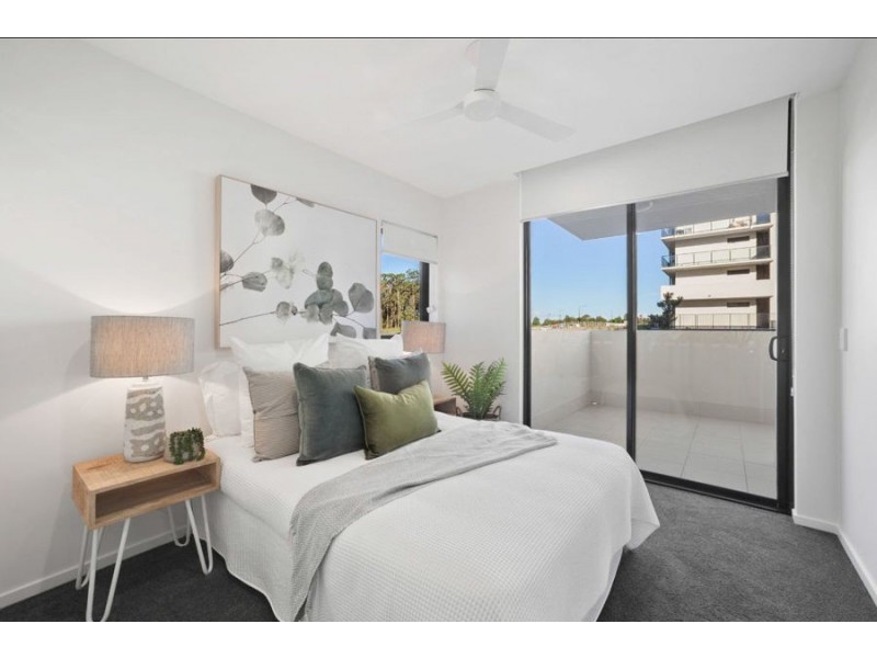 Sippy Downs QLD 4556