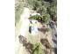 4 Greacen Lane, South Ripley QLD 4306