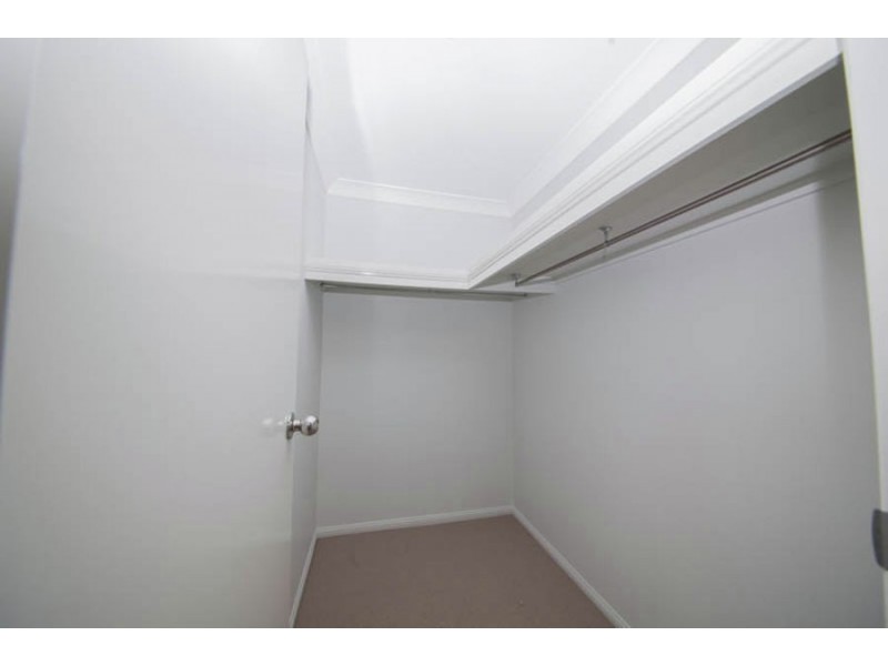 3 Pinewood Court, Springfield QLD 4300