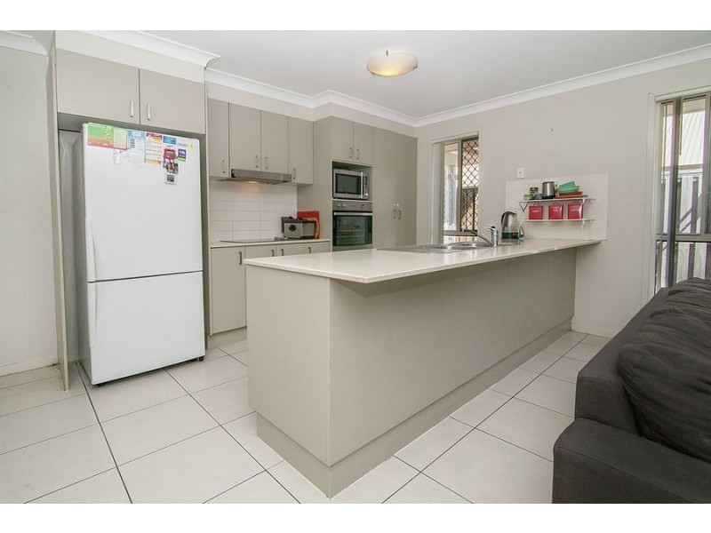 61 Rasmussen Crescent, Redbank Plains QLD 4301