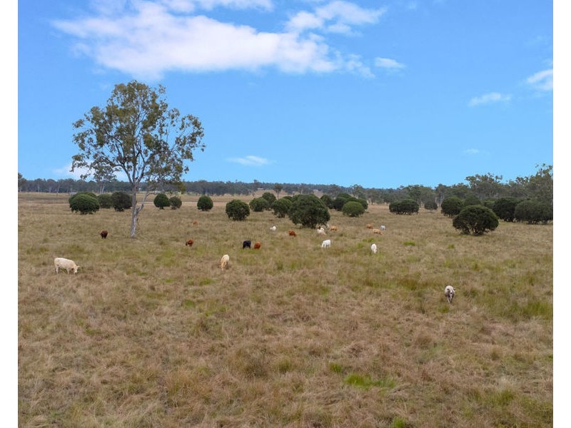 763 Ipswich-Boonah Road, Purga QLD 4306