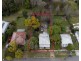 27 Delacy Street, North Ipswich QLD 4305