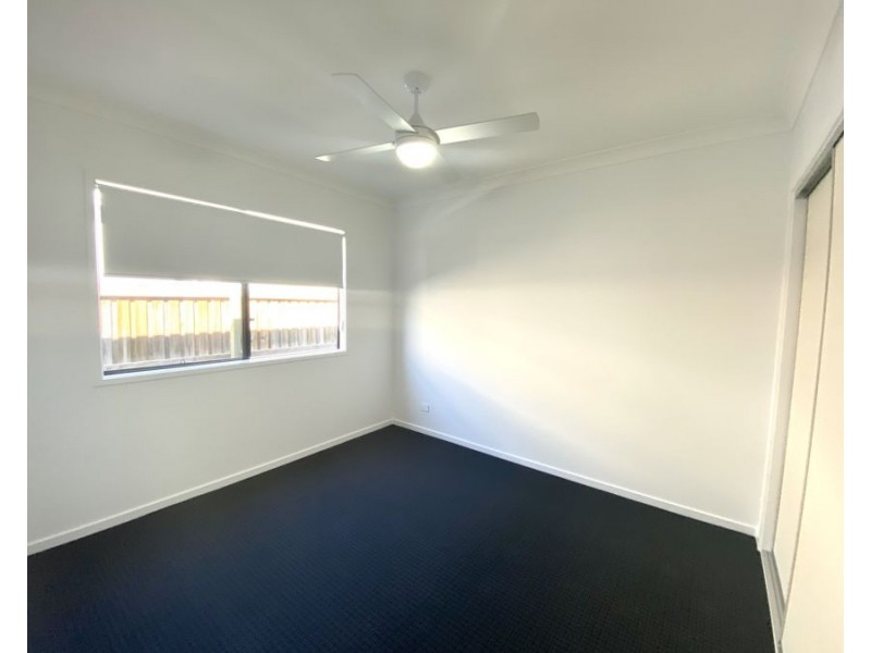 17 Whitsunday St, Newport QLD 4020