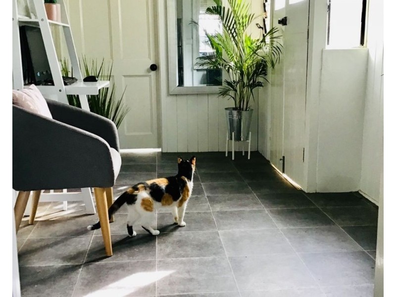 6 Herbert St, Sadliers Crossing QLD 4305