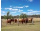 1465 Rosewood Warrill View Road, Mount Walker QLD 4340