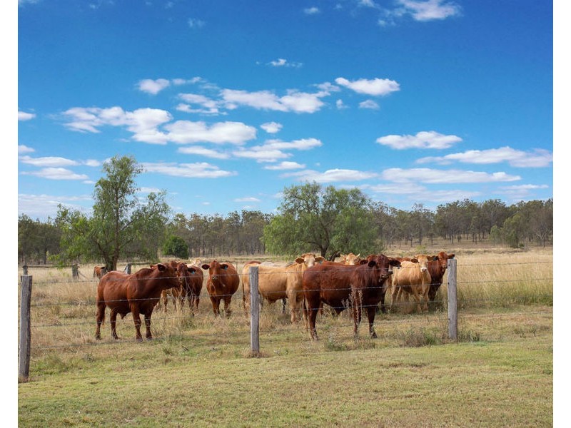 1465 Rosewood Warrill View Road, Mount Walker QLD 4340