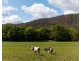 2 Main Camp Creek Road, Thornton QLD 4341