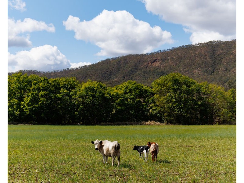 2 Main Camp Creek Road, Thornton QLD 4341