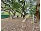 30 Allen St, North Ipswich QLD 4305
