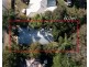 6 Marcel Street, East Ipswich QLD 4305